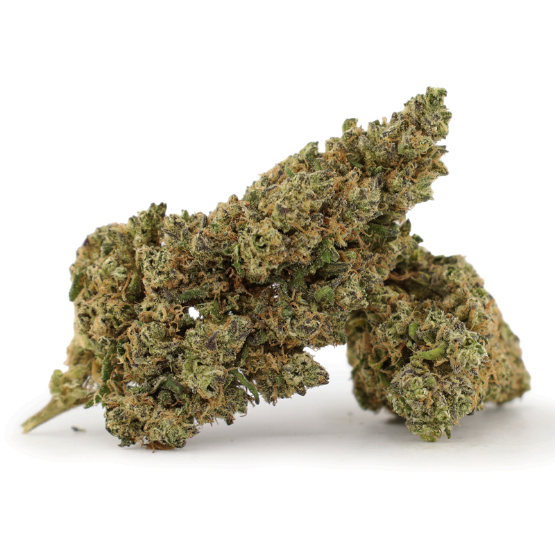 Flor de 10-OH Platinum - Rollz