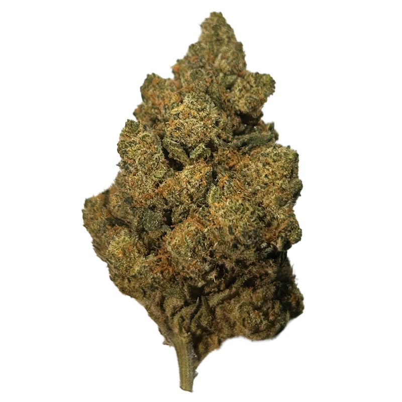 Flor de HPC Amnésia