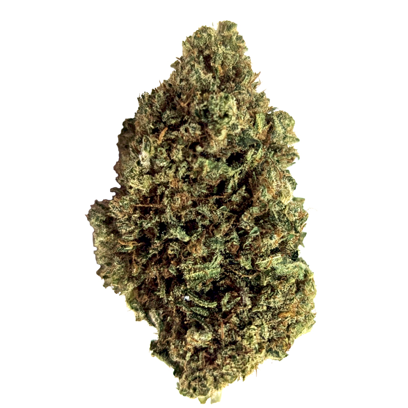 Flor de THC-P Bubblegum